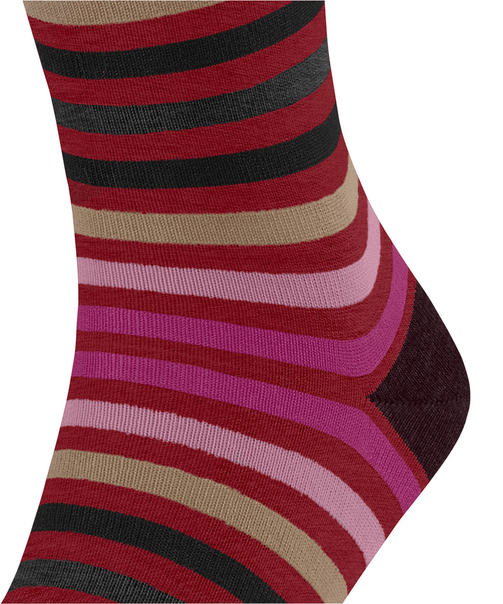 Tinted Stripe