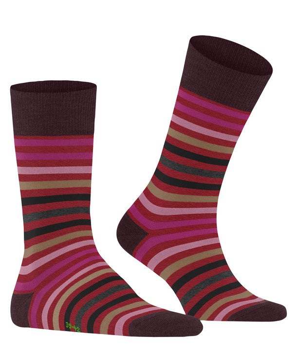 Tinted Stripe