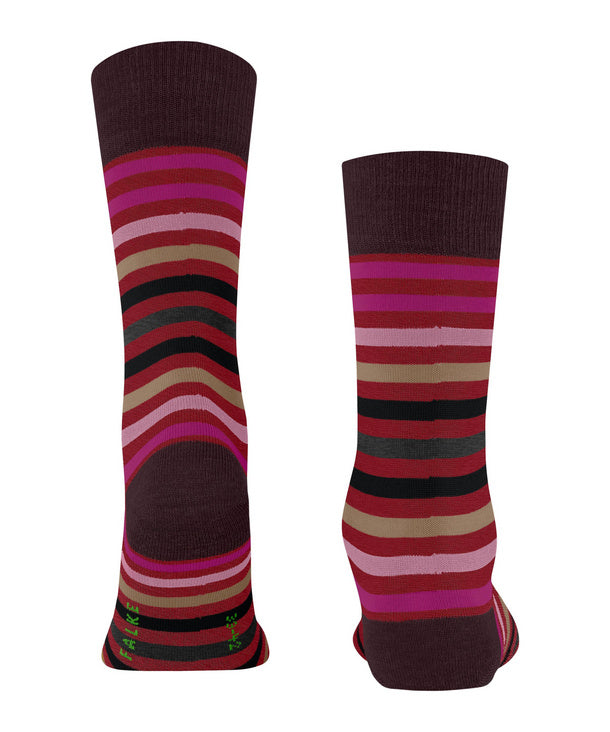 Tinted Stripe