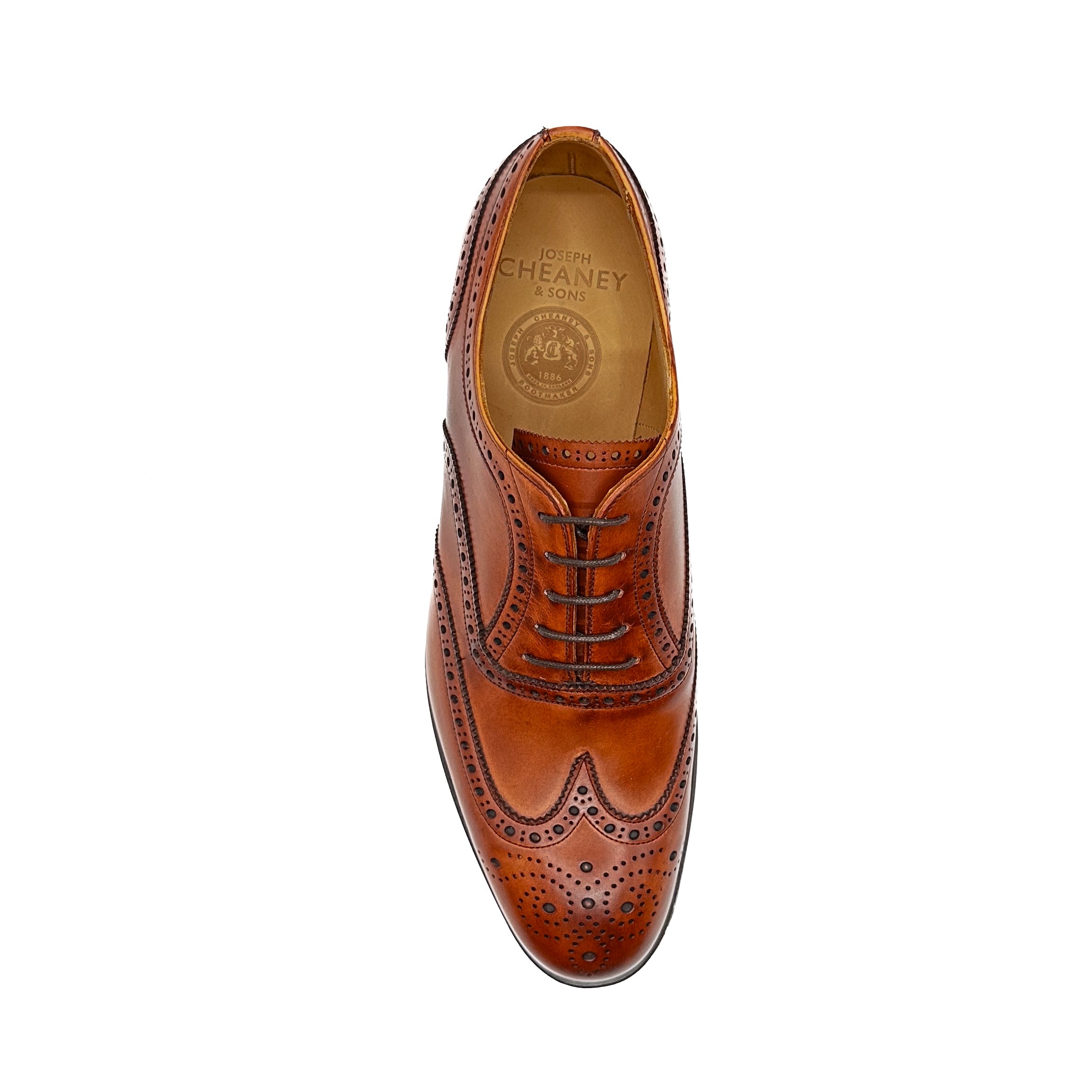 Arthur III - Dark Leaf – Josephs Sydney