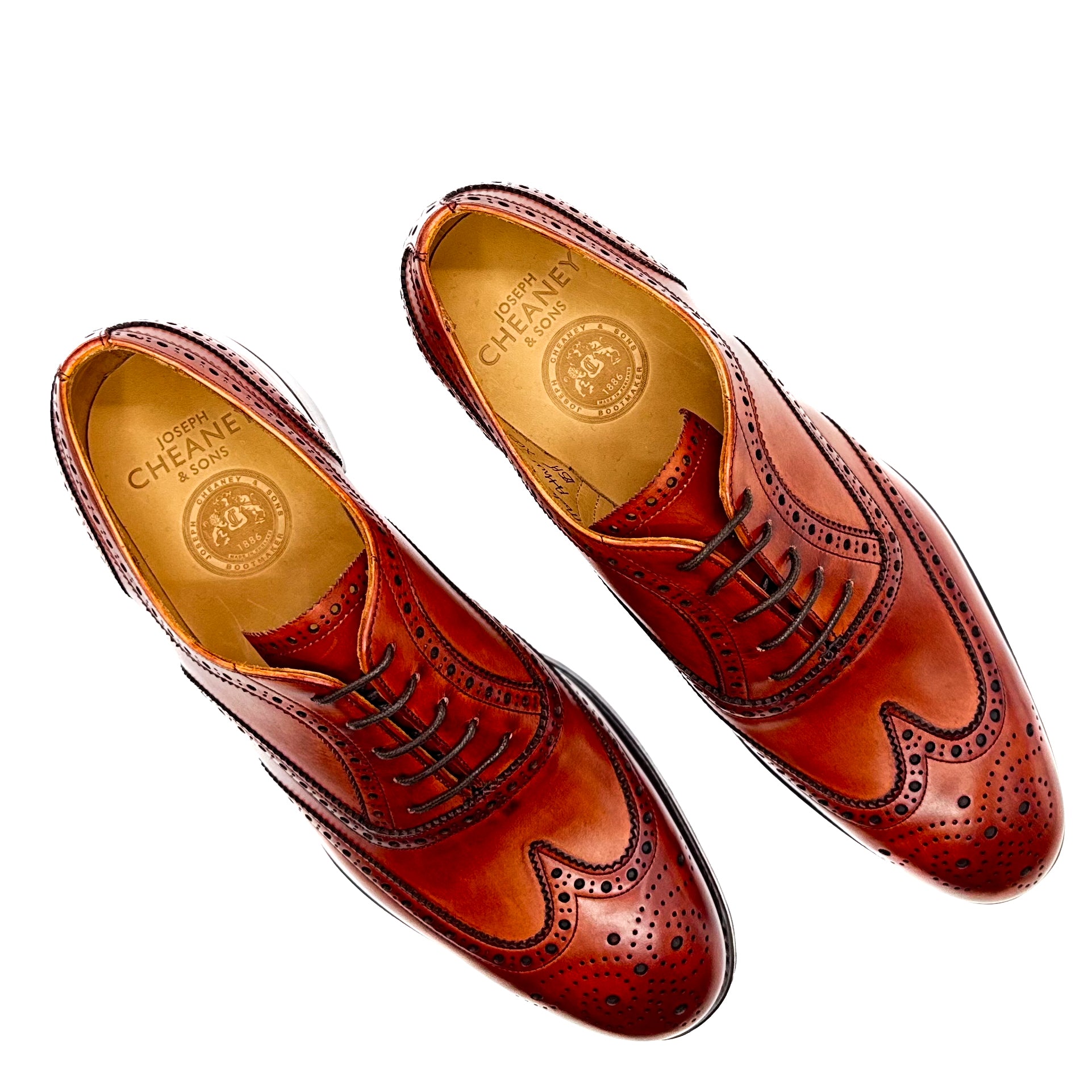 Arthur III - Dark Leaf – Josephs Sydney