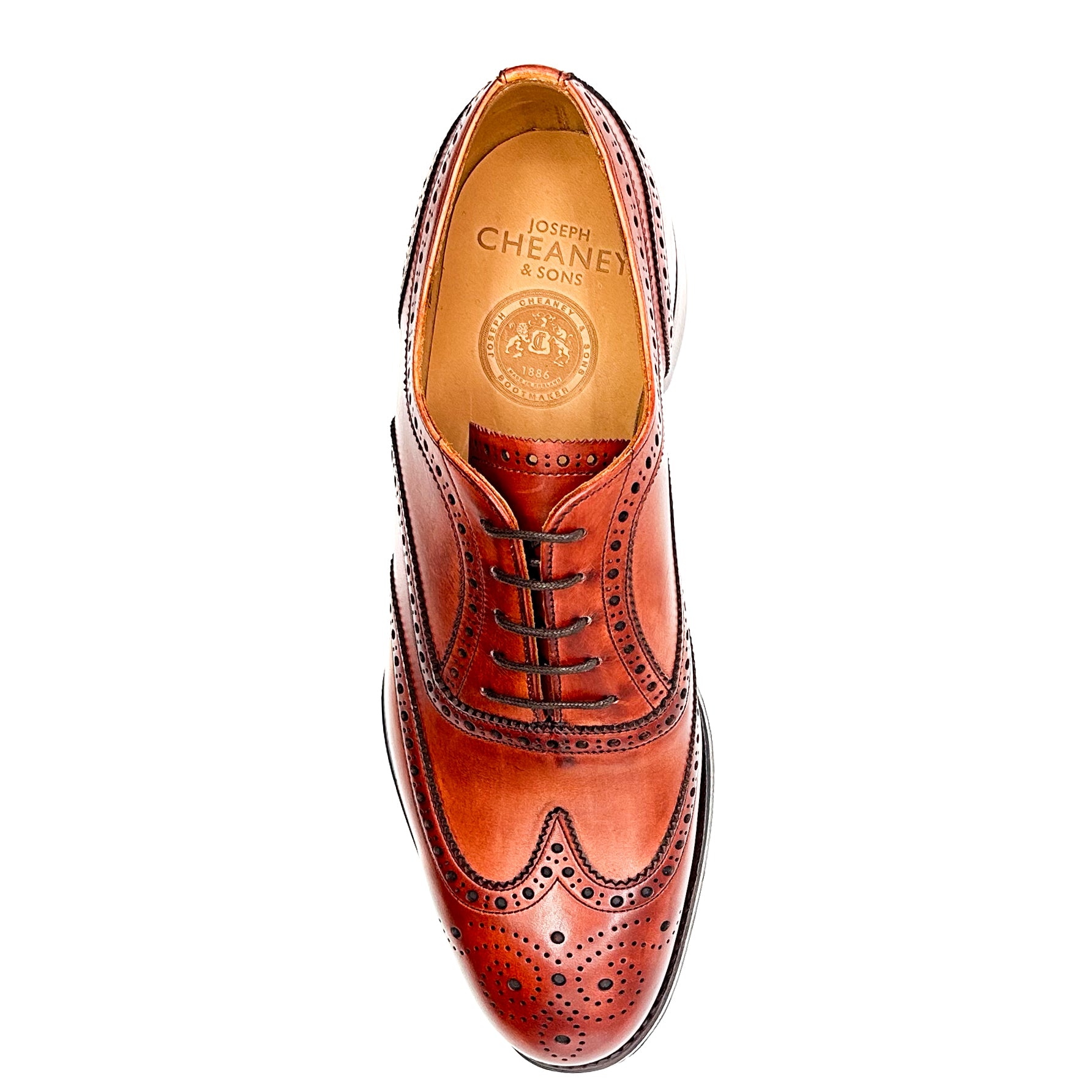 Arthur III - Dark Leaf – Josephs Sydney