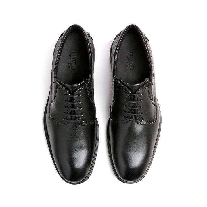 Kentucky - Black