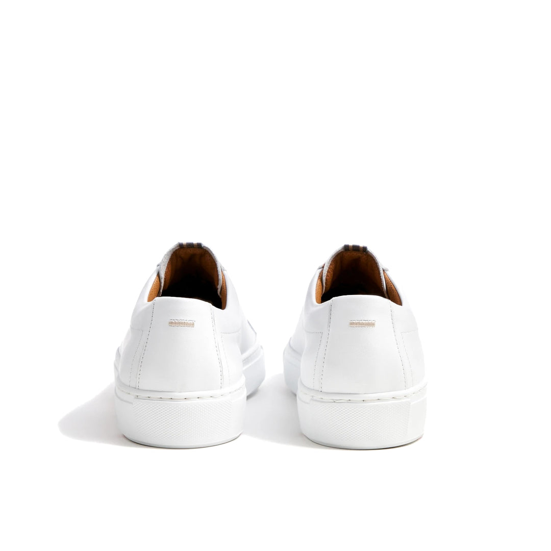 Abel - White