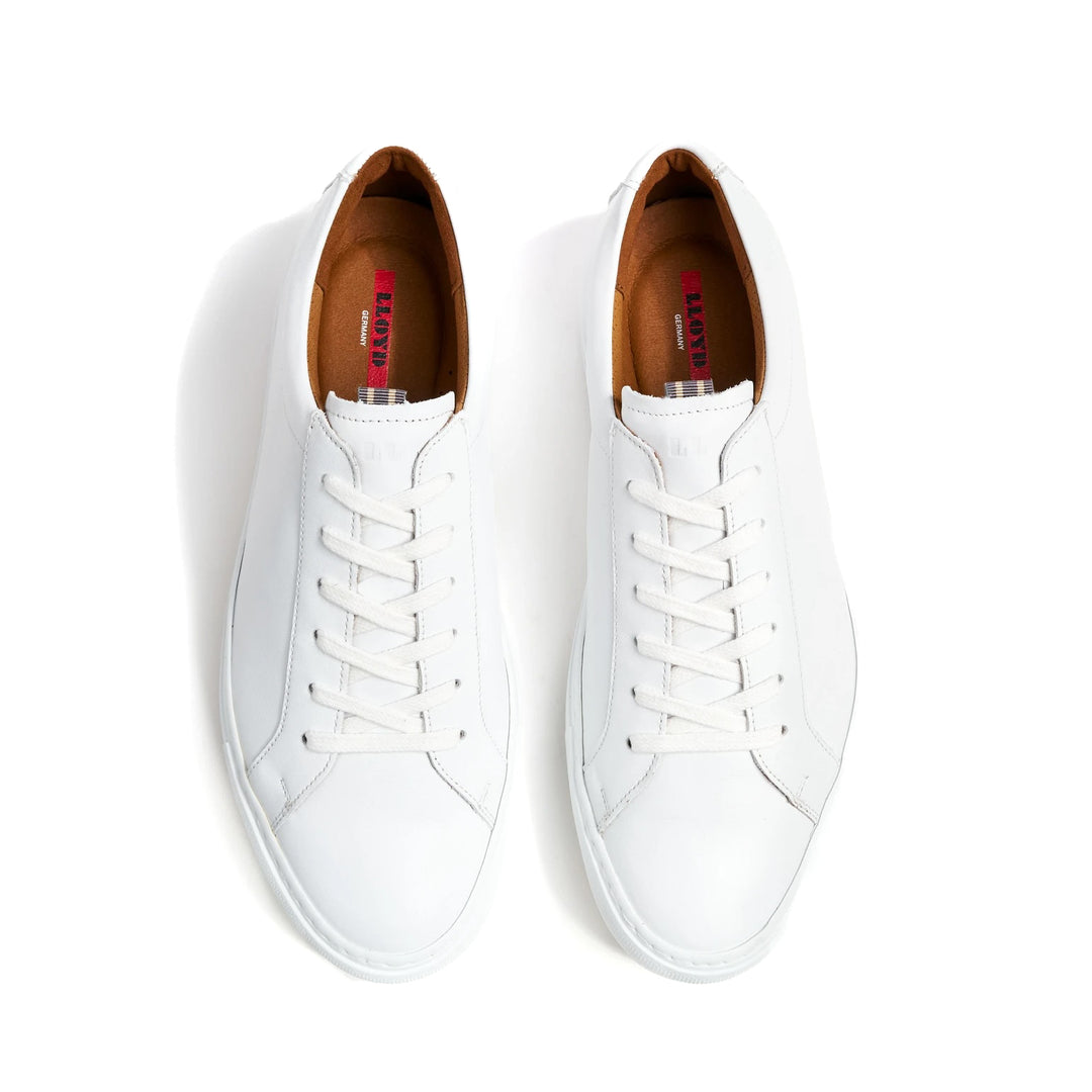 Abel - White