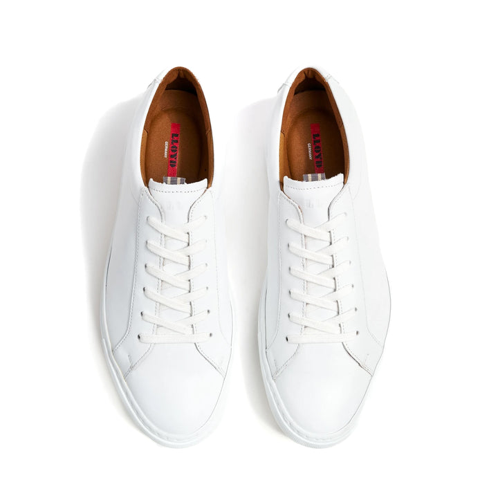 Abel - White