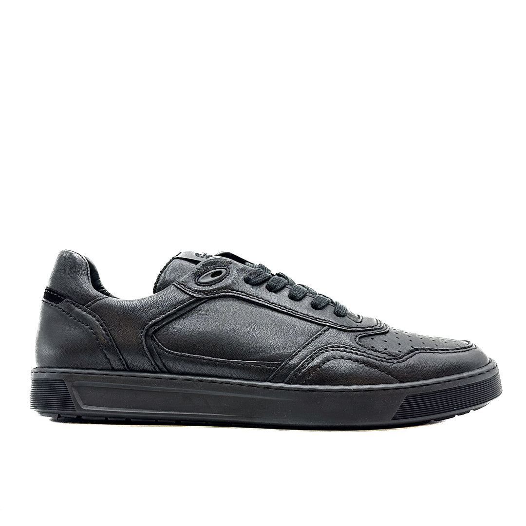 Tedroso 704 - Black