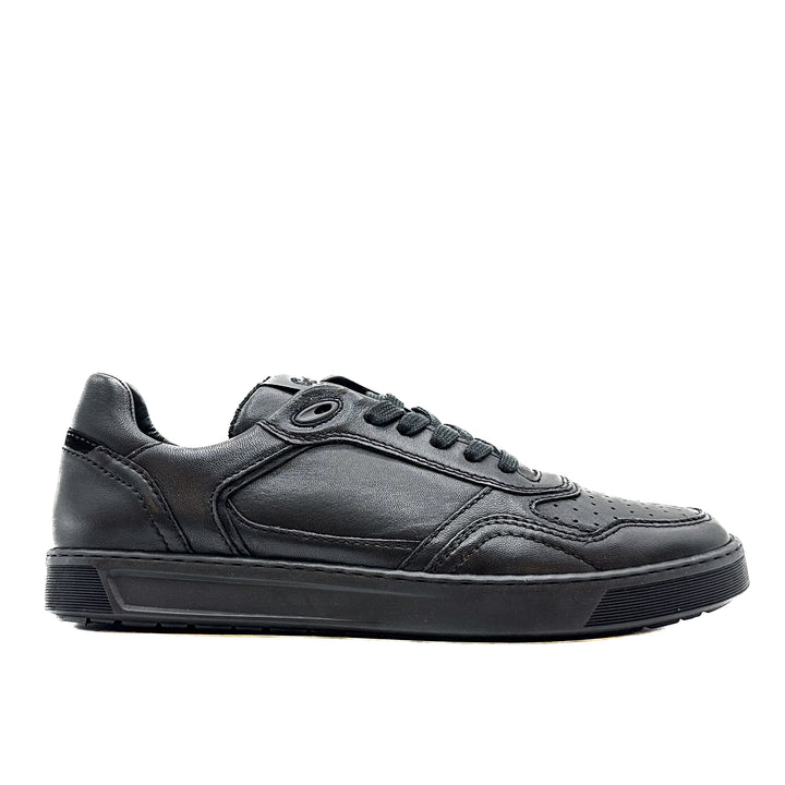 Tedroso 704 - Black