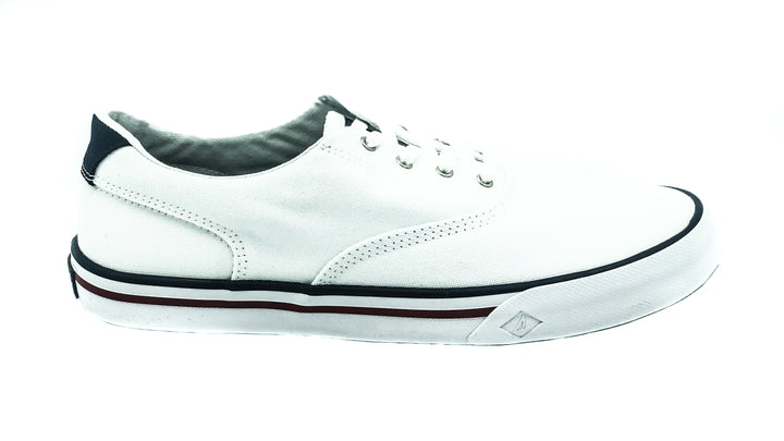 Striper II CVO