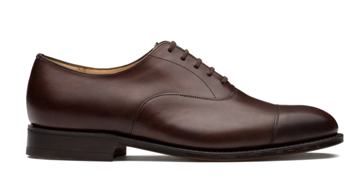 Consul Ebony Nevada Calf